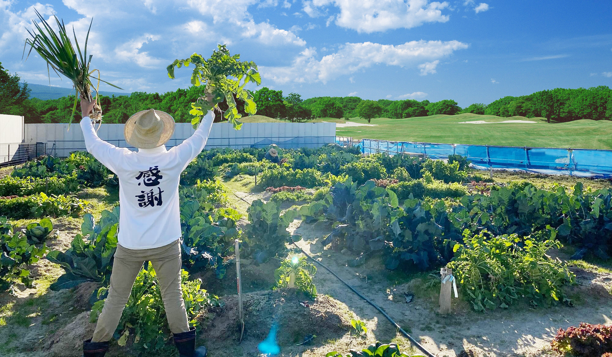 風ファームの畑の様子