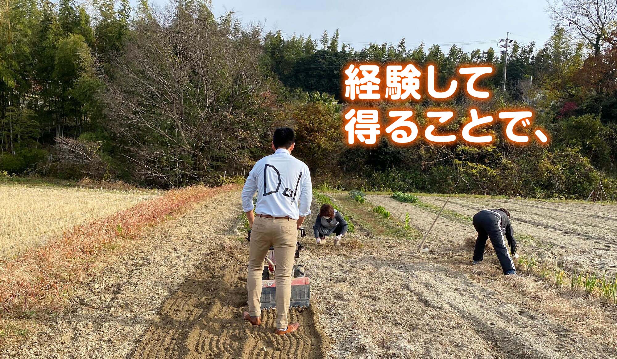 トップスライド 3