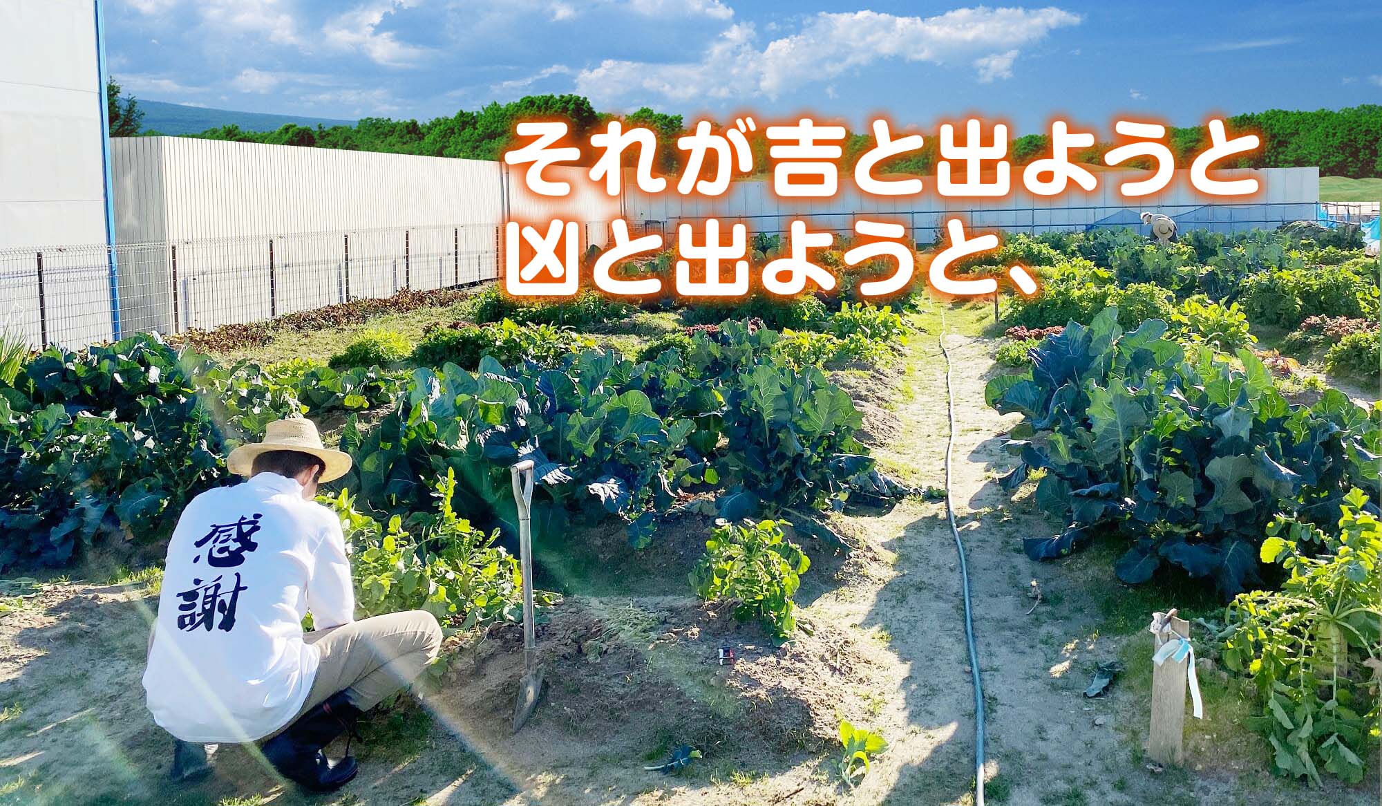 トップスライド 4